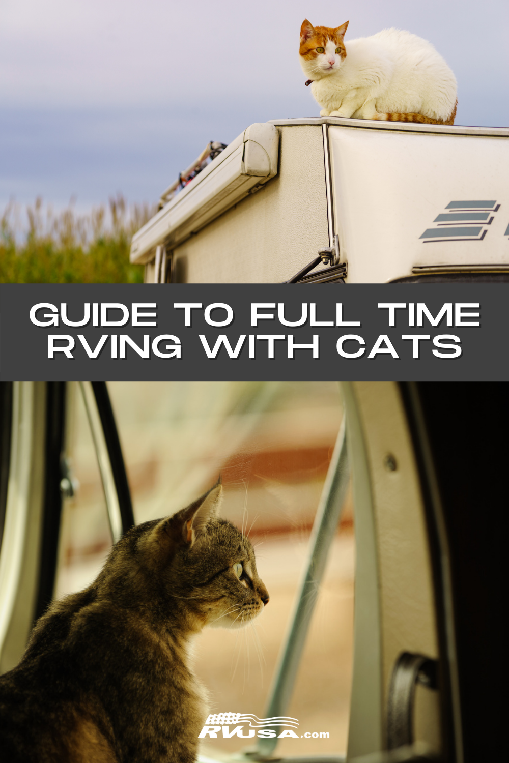 Two photos of cats with RVs. Text reads "Guide to full time RVing with cats"