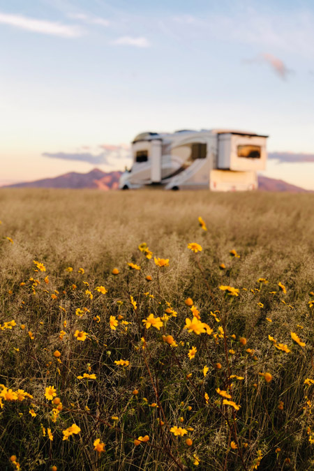 An RV enjoys a Boondockers Welcome campground in a field of flowers