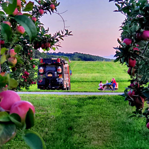 A skoolie takes part in RV camping at a farm