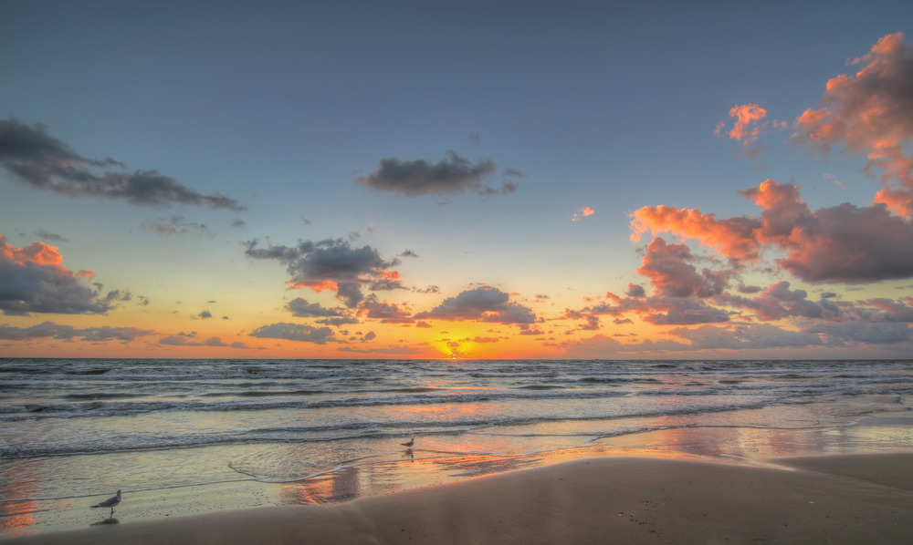 Seagulls at a beach sunrise are wonderful when you're looking for campgrounds for Thanksgiving.