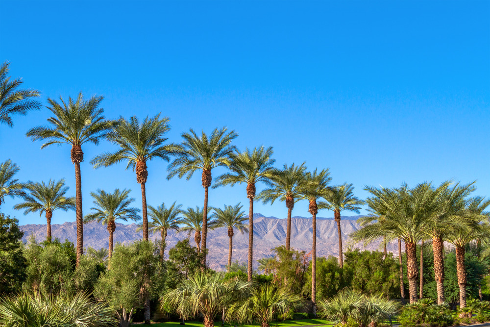 View of Coachella Valley in California near one of our favorite campgrounds for Thanksgiving